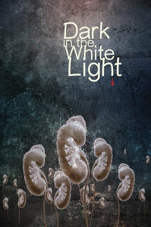 Sulanga Gini Aran poster