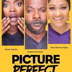 Picture Perfect poster