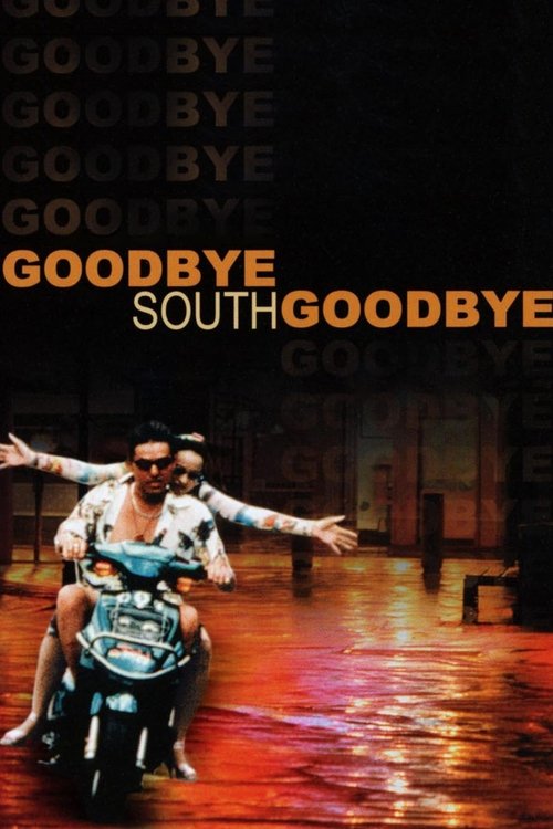 Goodbye South poster