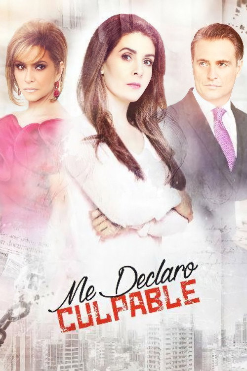 Me declaro culpable poster