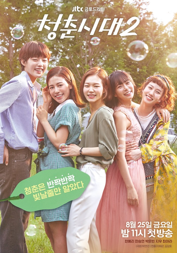Hello, My Twenties! 2 poster