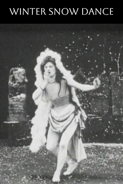 Danse des saisons poster