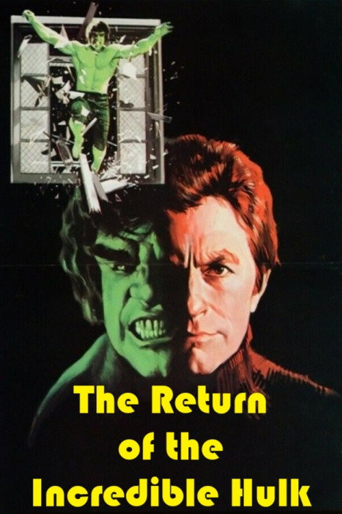 Death in the Family poster
