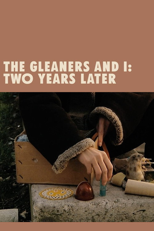 Les glaneurs et la glaneuse... deux ans après poster