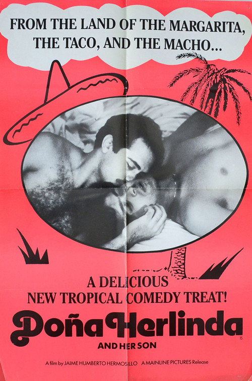 Dona Herlinda and Her Son poster