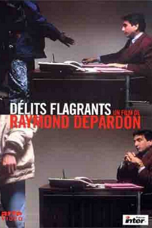 Délits Flagrants poster