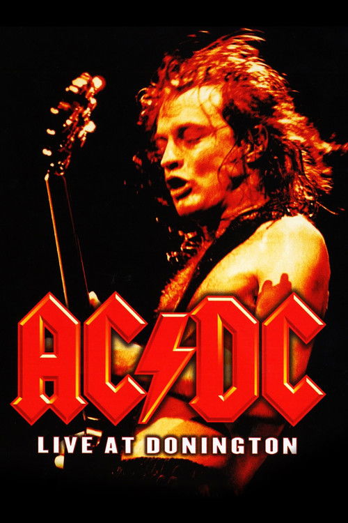 Live at Donington poster