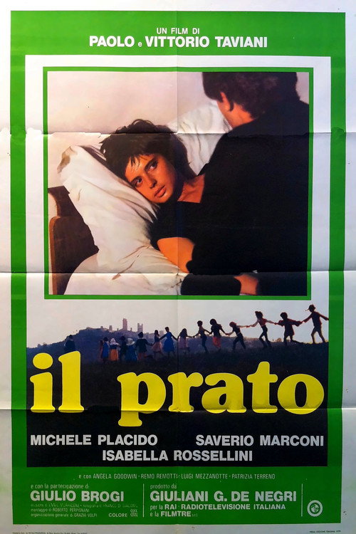 Il prato poster