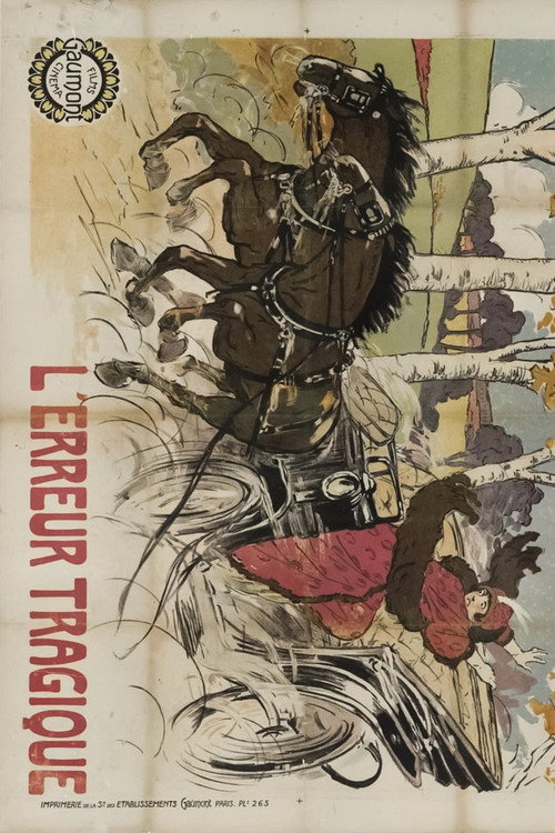 Erreur tragique poster