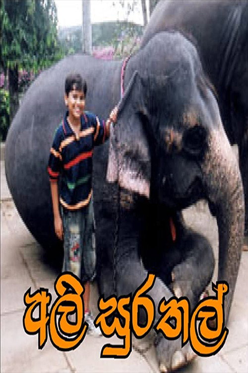 Ali Surathal poster