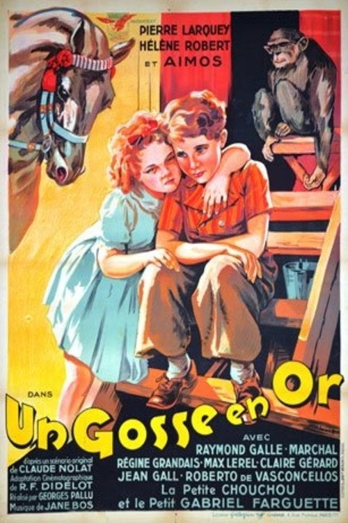 Un gosse en or poster