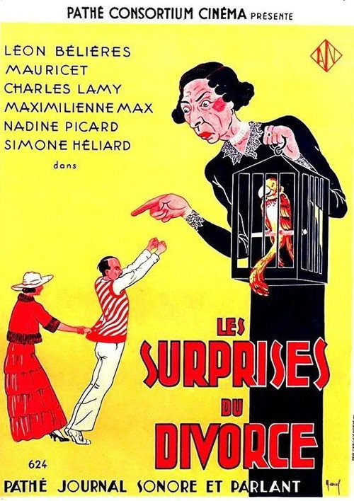 The Surprises of Divorce poster