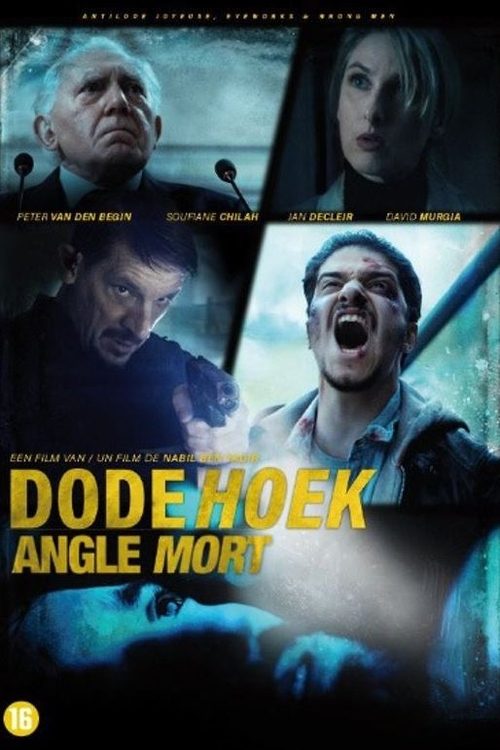 Blind Spot poster