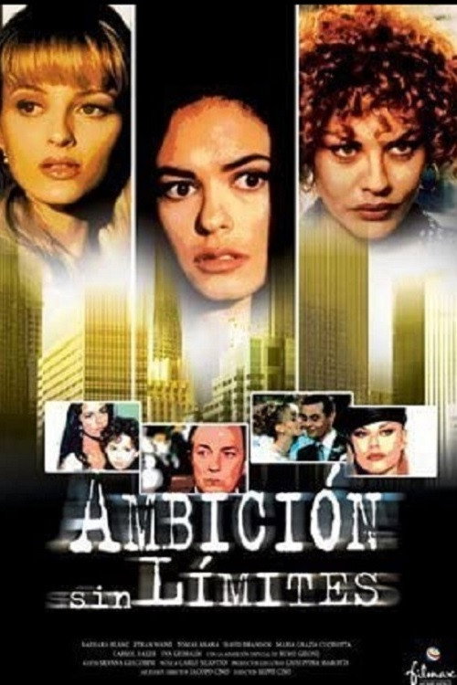 The lady of the city poster