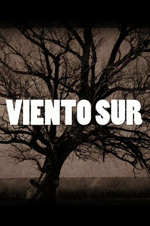 Viento sur poster