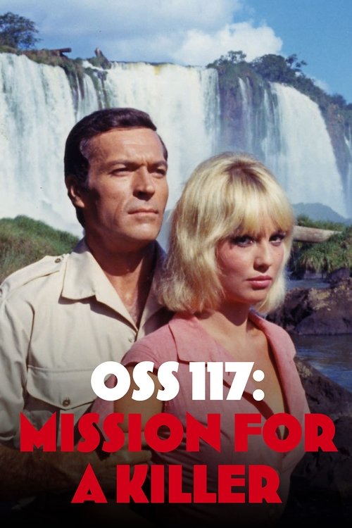 Furia à Bahia pour OSS 117 poster