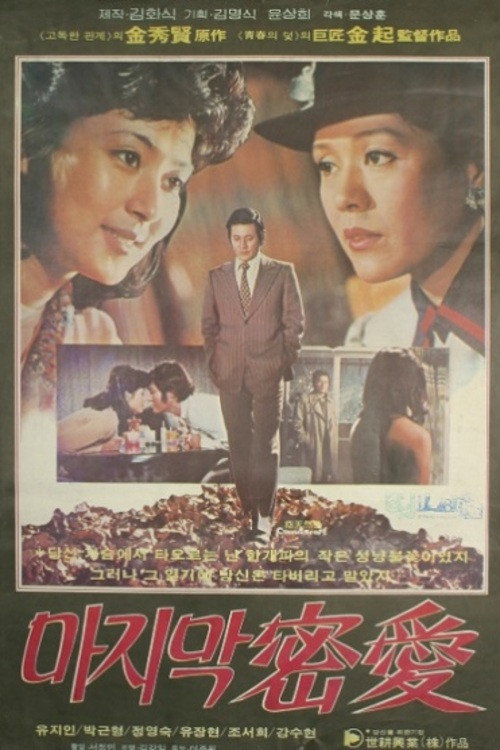 The Last Secret Affair poster