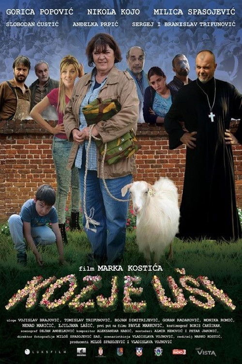 Baba poster