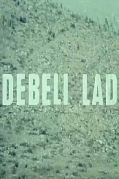Debeli 'lad poster