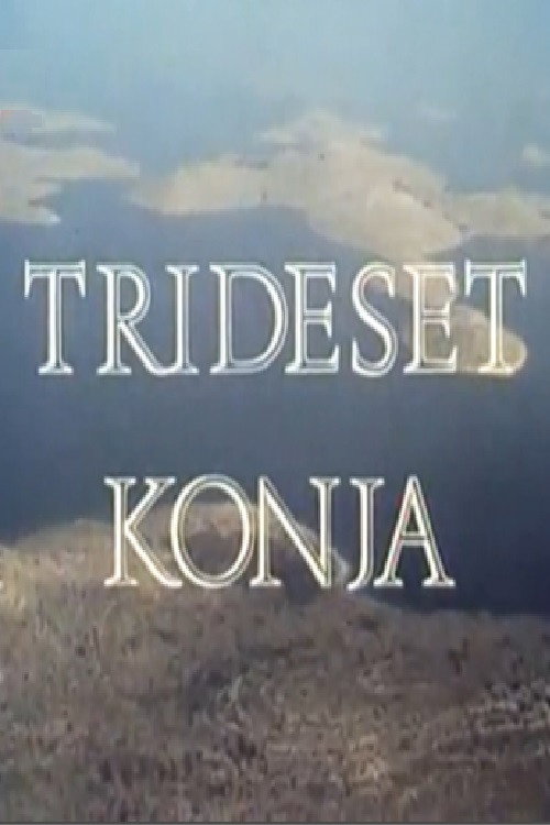 Trideset konja poster