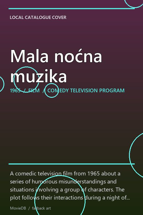 Mala noćna muzika poster
