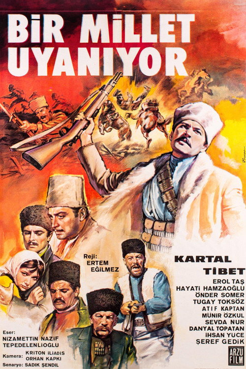 A Nation Is Awaking poster