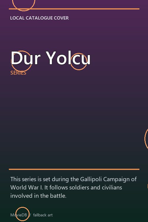 Dur Yolcu poster