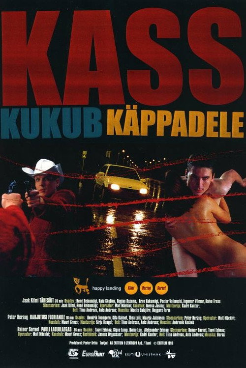 Kass kukub käppadele poster
