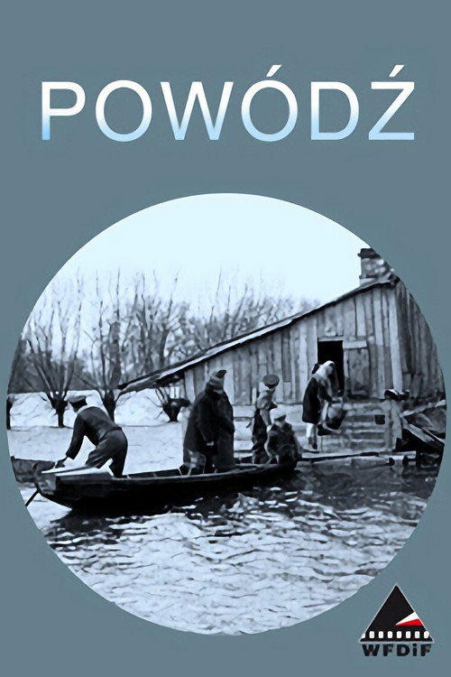 The Flood poster