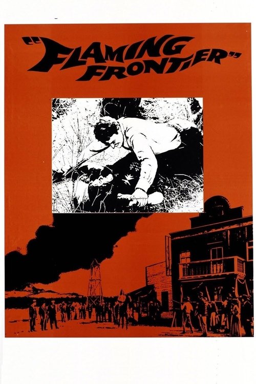 Old Surehand poster