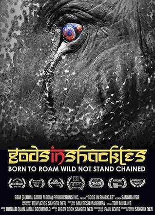 ഗോഡ് ഇൻ ഷാക്കിൾസ് poster