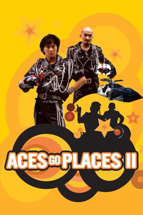 Aces Go Places 2 poster