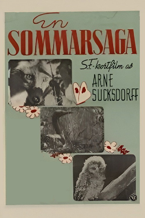En sommarsaga poster