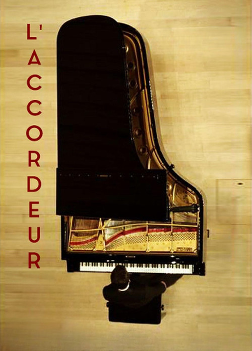 L'Accordeur poster