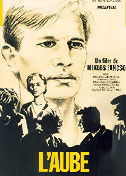 Dawn poster