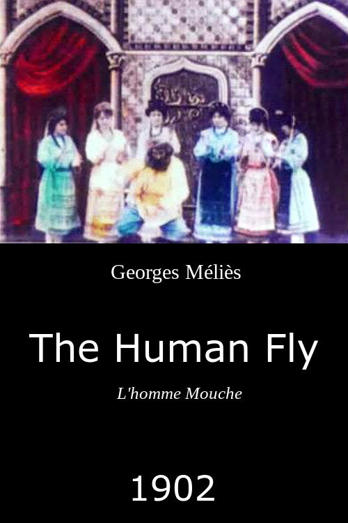 L'Homme mouche poster