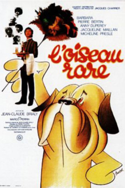 L'Oiseau rare poster