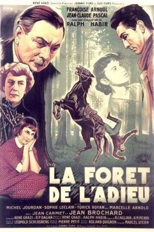 La forêt de l'adieu poster