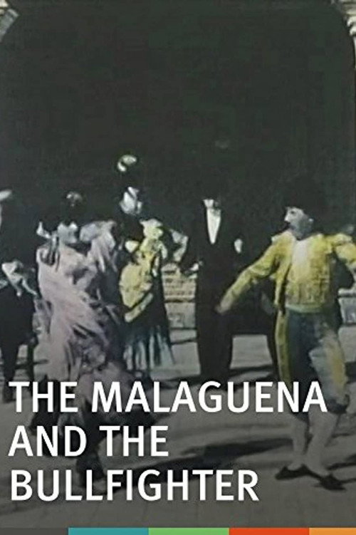 La malagueña et le torero poster
