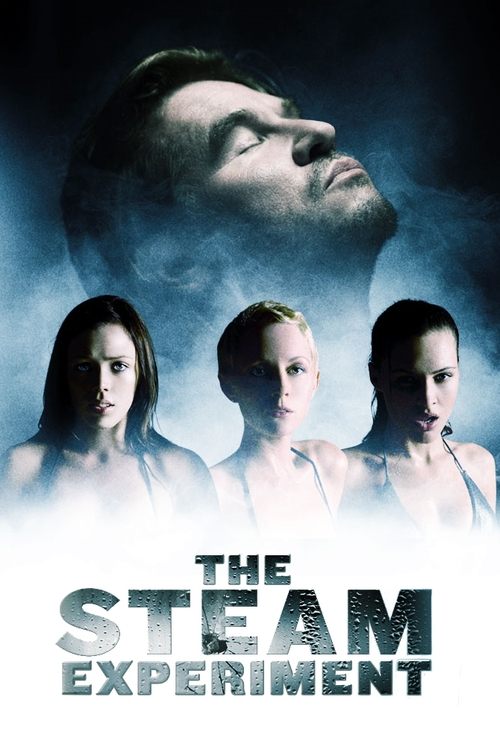 The Chaos Experiment poster