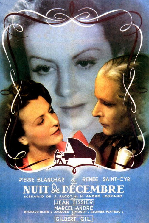 Night in December poster