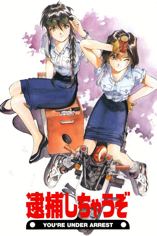 You're Under Arrest poster