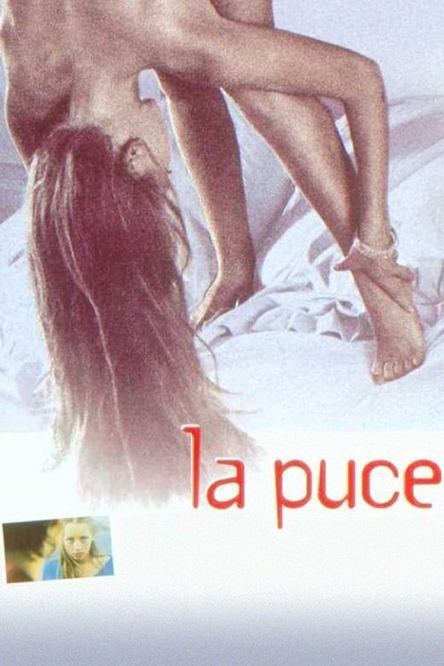 La puce poster