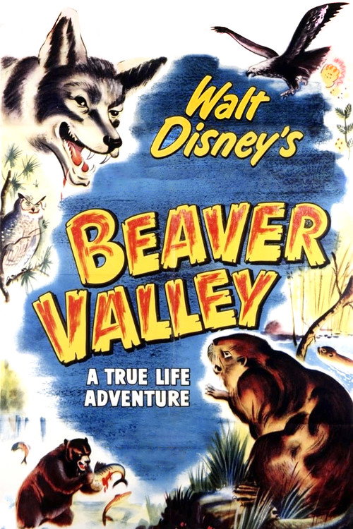 In Beaver Valley poster