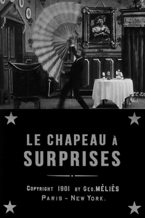 Hat of Many Surprises poster