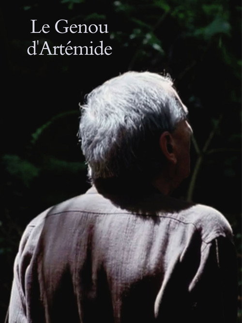 Artemis' Knee poster