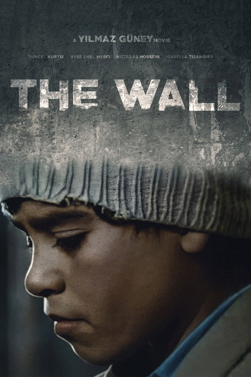 Duvar poster