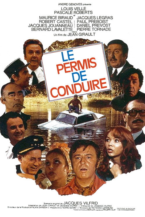 Le permis de conduire poster