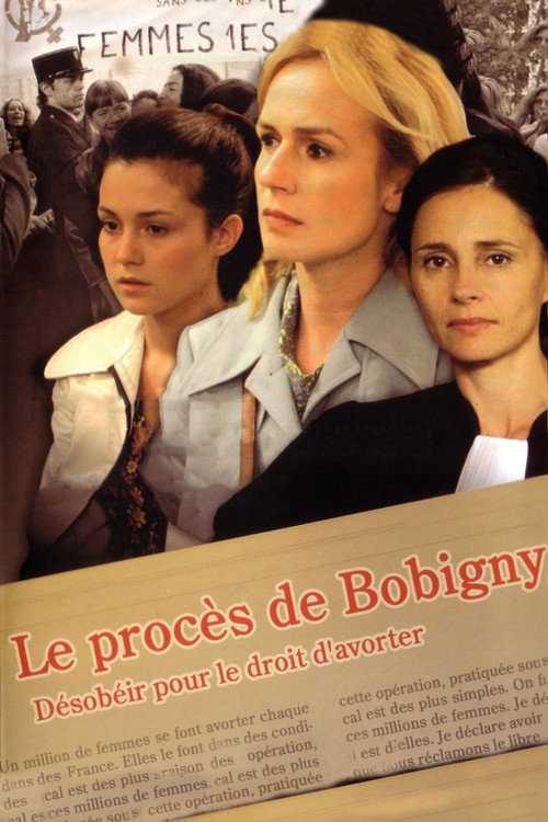 The Bobigny Trial poster