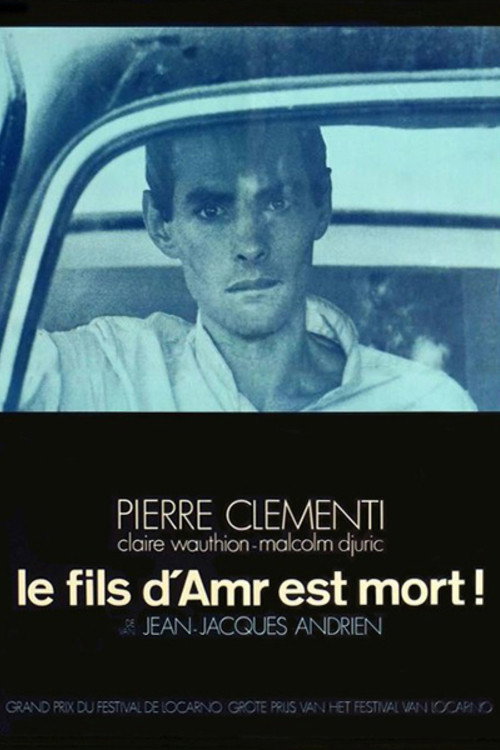 Le Fils d'Amr est mort poster